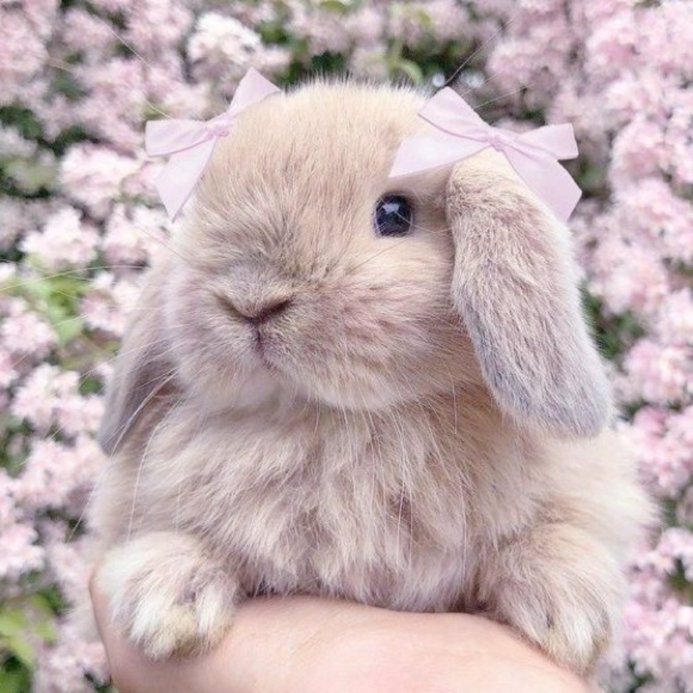 Meet your Posher, Katelynn